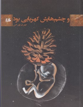 و چشم‌هایش کهربایی بود
